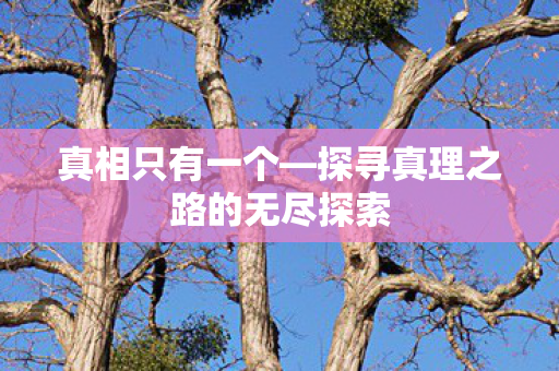 探寻真理之路的无尽探索图片