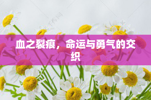 命运与勇气的交织图片
