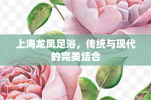 传统与现代的完美结合图片
