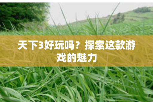 探索这款游戏的魅力图片