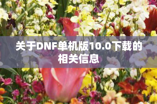 关于DNF单机版10图片