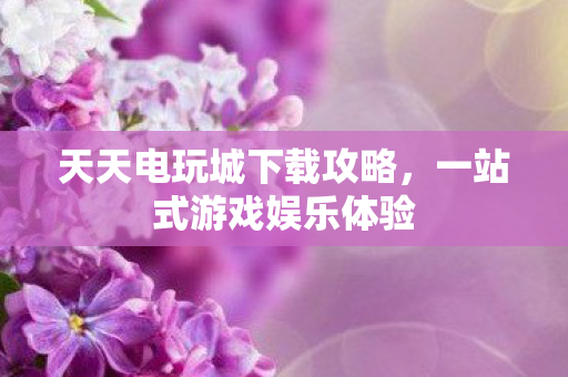 天天电玩城下载攻略图片