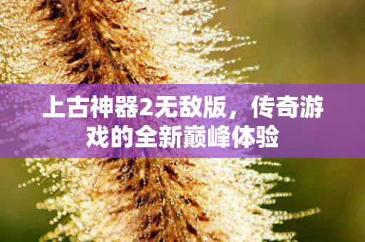 传奇游戏的全新巅峰体验图片