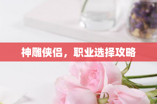 职业选择攻略图片