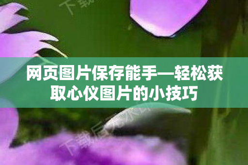 轻松获取心仪图片的小技巧图片