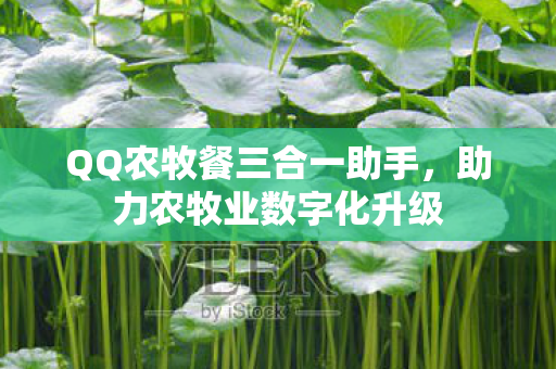 QQ农牧餐三合一助手图片