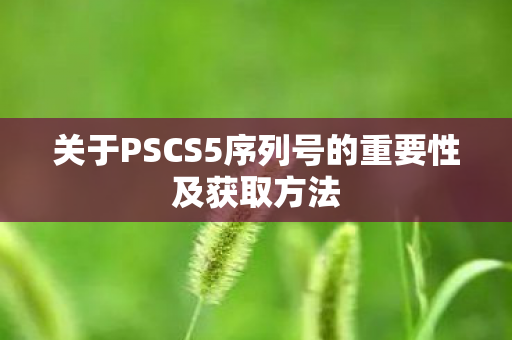 关于PSCS5序列号的重要性及获取方法图片