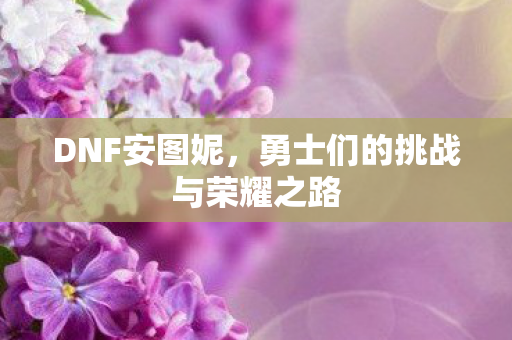 勇士们的挑战与荣耀之路图片