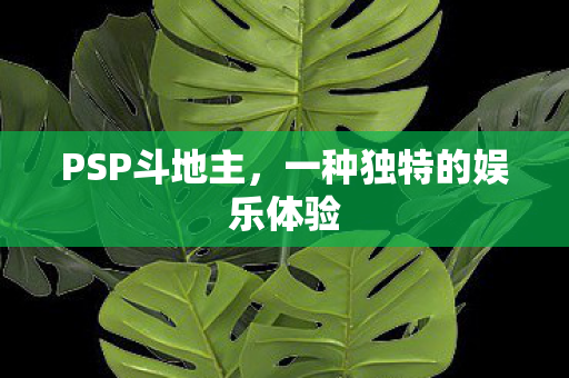 一种独特的娱乐体验图片