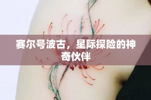 星际探险的神奇伙伴图片