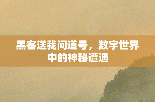 数字世界中的神秘遭遇图片