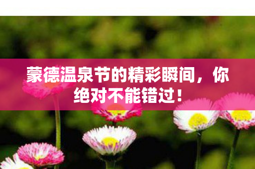 蒙德温泉节的精彩瞬间图片