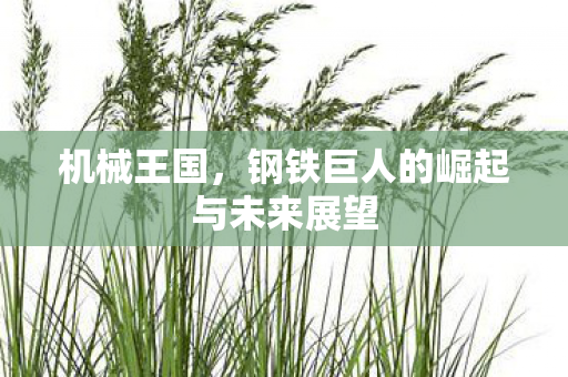 钢铁巨人的崛起与未来展望图片