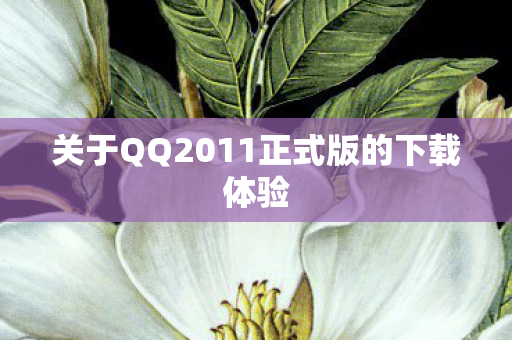 关于QQ2011正式版的下载体验图片