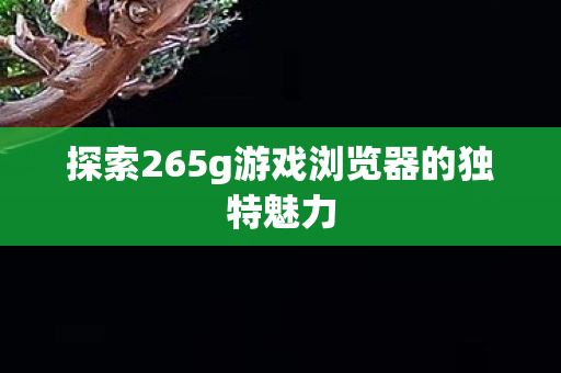 探索265g游戏浏览器的独特魅力图片