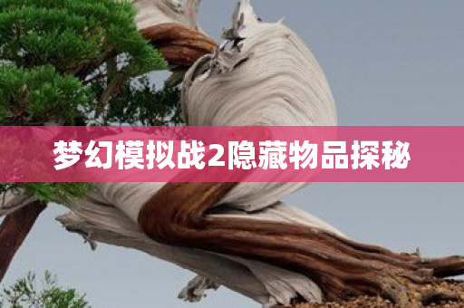 梦幻模拟战2隐藏物品探秘图片