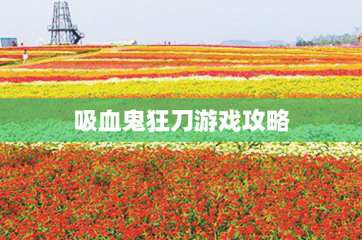 吸血鬼狂刀游戏攻略图片