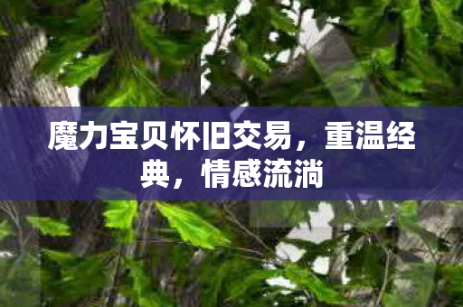 魔力宝贝怀旧交易图片