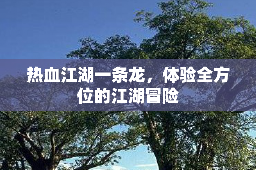 体验全方位的江湖冒险图片