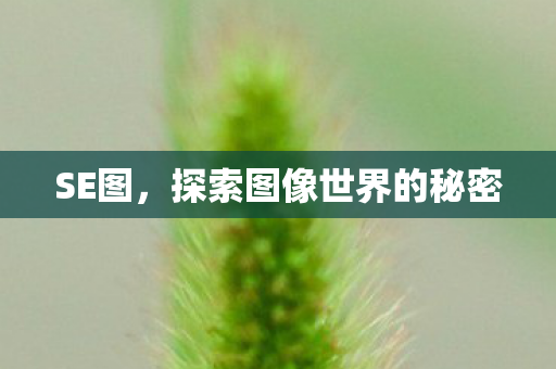探索图像世界的秘密图片