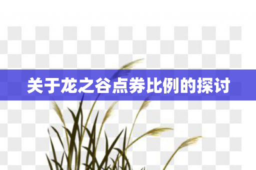 关于龙之谷点券比例的探讨图片