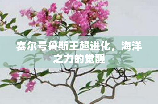 赛尔号鲁斯王超进化图片