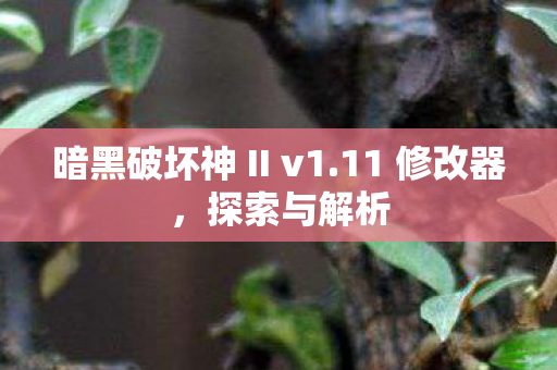 暗黑破坏神 II v1图片