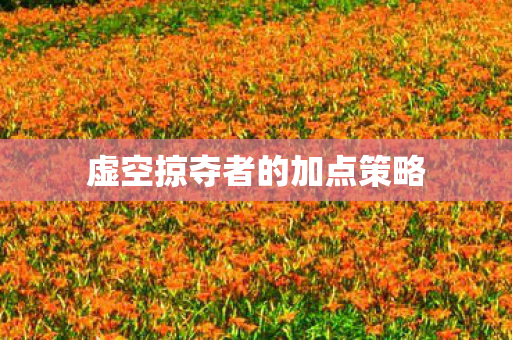 虚空掠夺者的加点策略图片