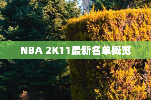 NBA 2K11最新名单概览图片