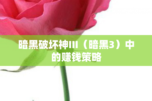暗黑破坏神III图片