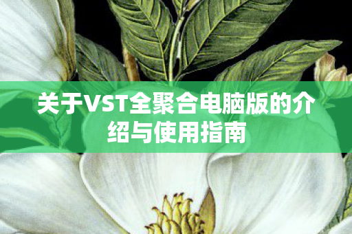 关于VST全聚合电脑版的介绍与使用指南图片
