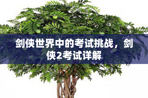 剑侠世界中的考试挑战图片