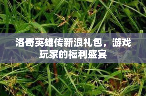 洛奇英雄传新浪礼包图片