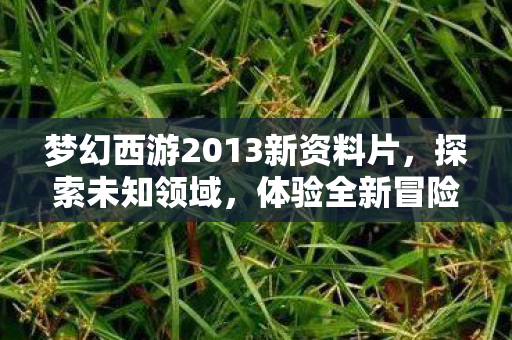 梦幻西游2013新资料片图片