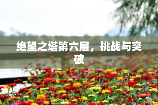 绝望之塔第六层图片