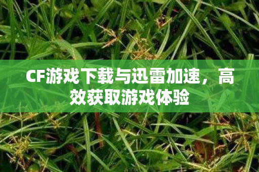 CF游戏下载与迅雷加速图片