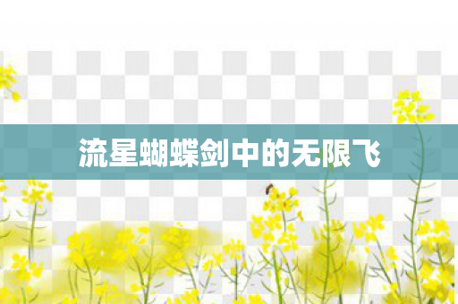 流星蝴蝶剑中的无限飞图片