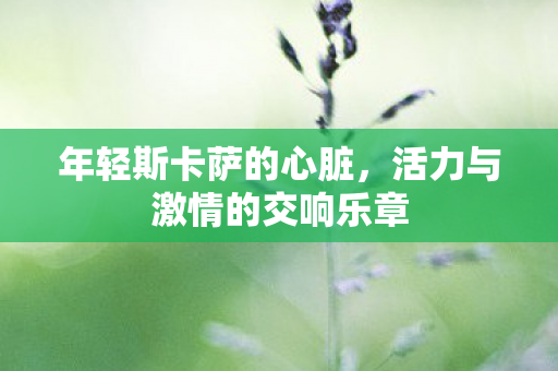 活力与激情的交响乐章图片