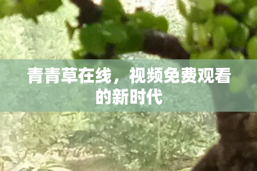 视频免费观看的新时代图片