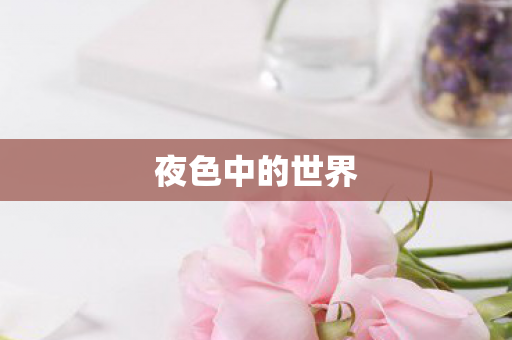 夜色中的世界图片