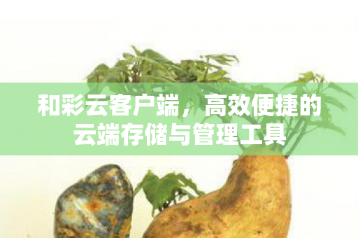 高效便捷的云端存储与管理工具图片
