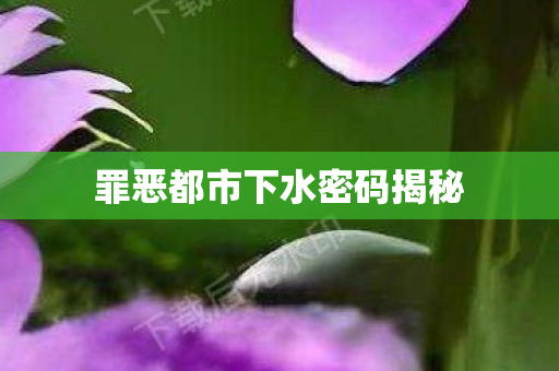 罪恶都市下水密码揭秘图片