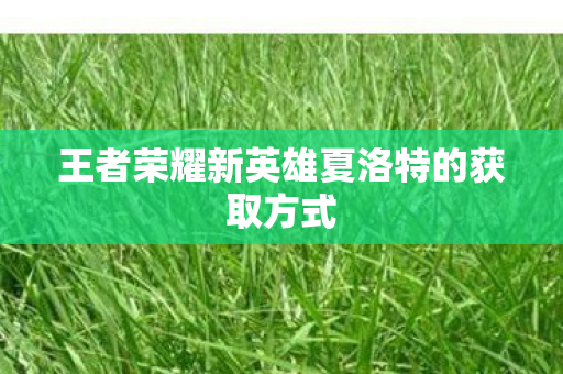 王者荣耀新英雄夏洛特的获取方式图片