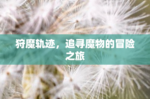 追寻魔物的冒险之旅图片