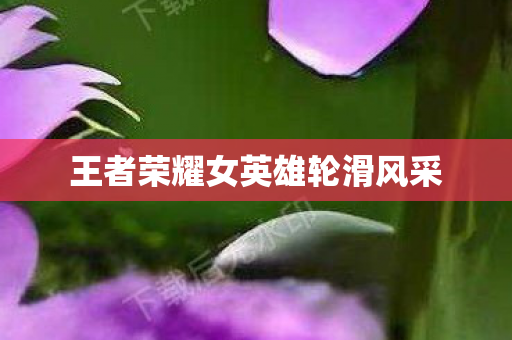 王者荣耀女英雄轮滑风采图片