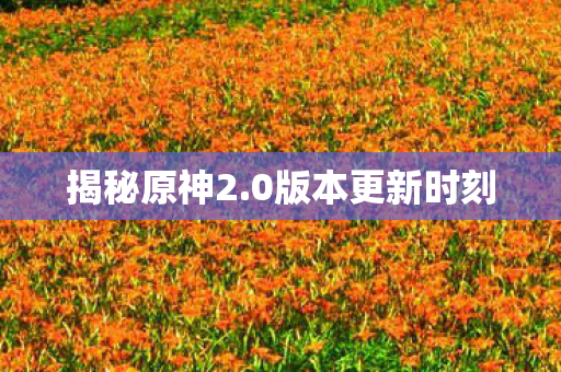 0版本更新时刻图片