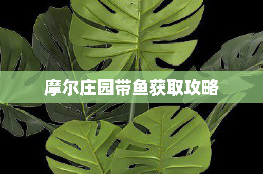 摩尔庄园带鱼获取攻略图片