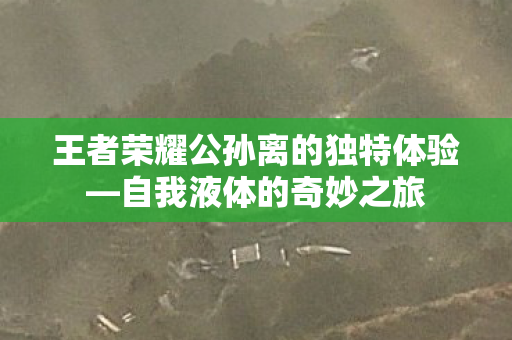 王者荣耀公孙离的独特体验图片