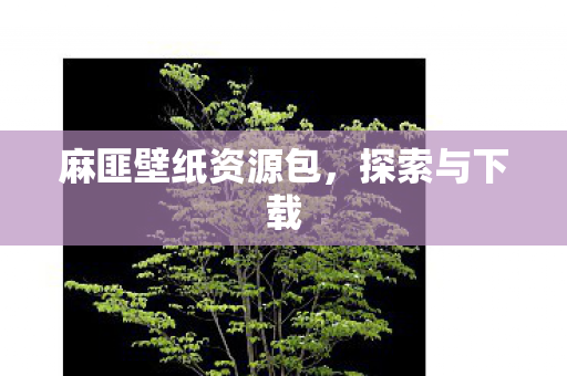 麻匪壁纸资源包图片
