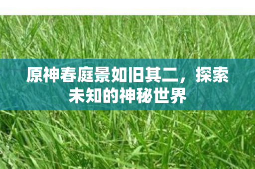 原神春庭景如旧其二图片